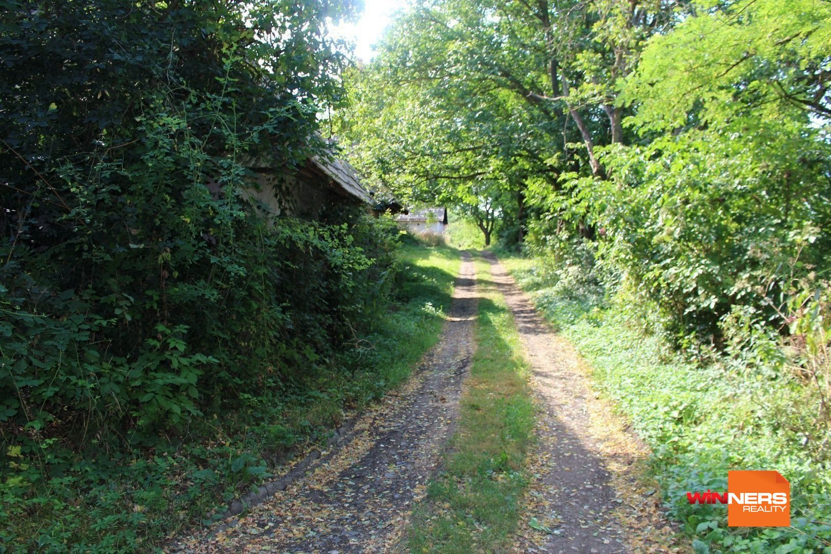 REZERVOVANÉ - Predaj  chatka s vínnou pivnicou, 49 m2 , Hontianske Trsťany- 6 km Dudince