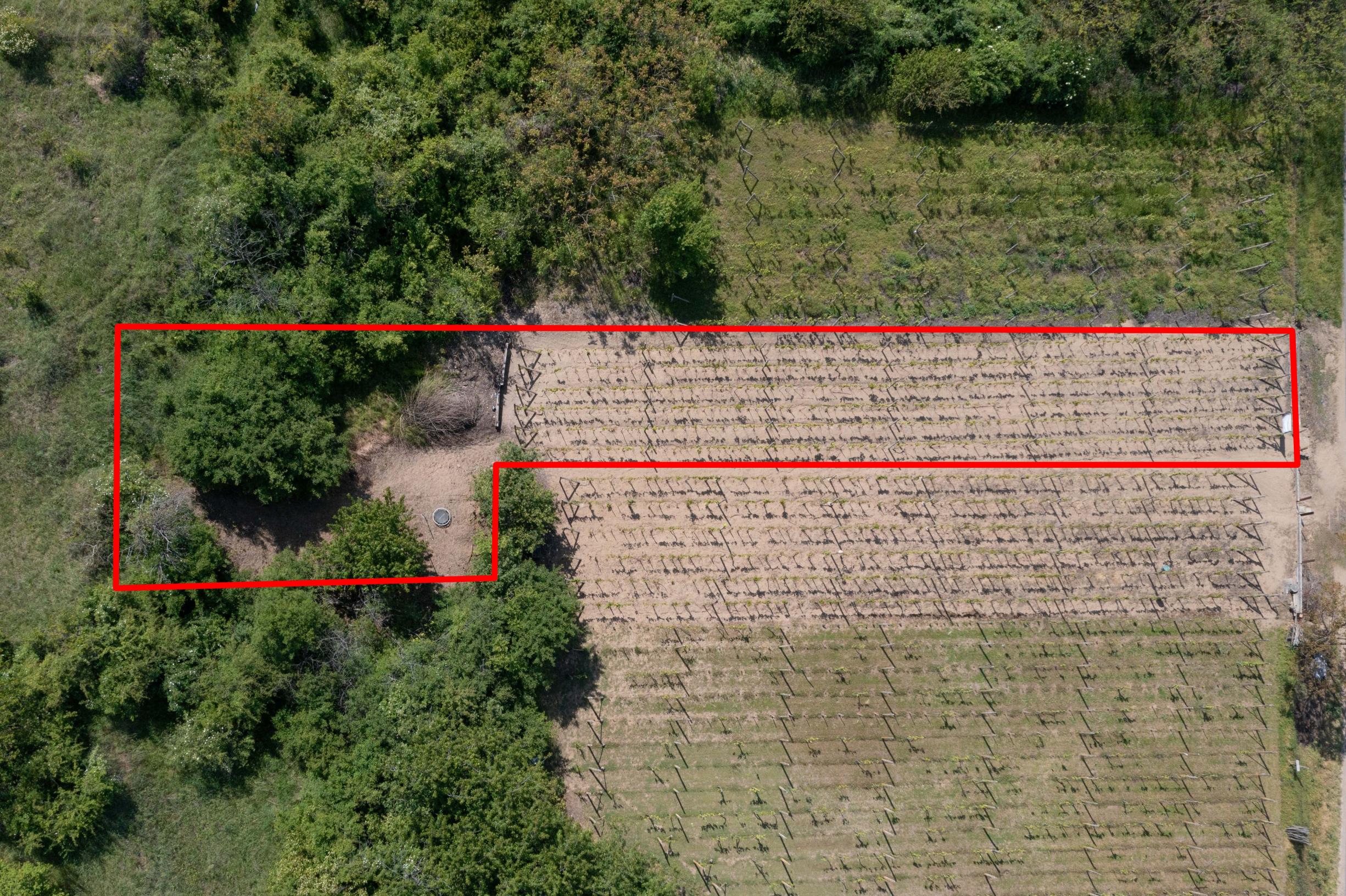 Na predaj vinica s pozemkom o výmere 720 m2