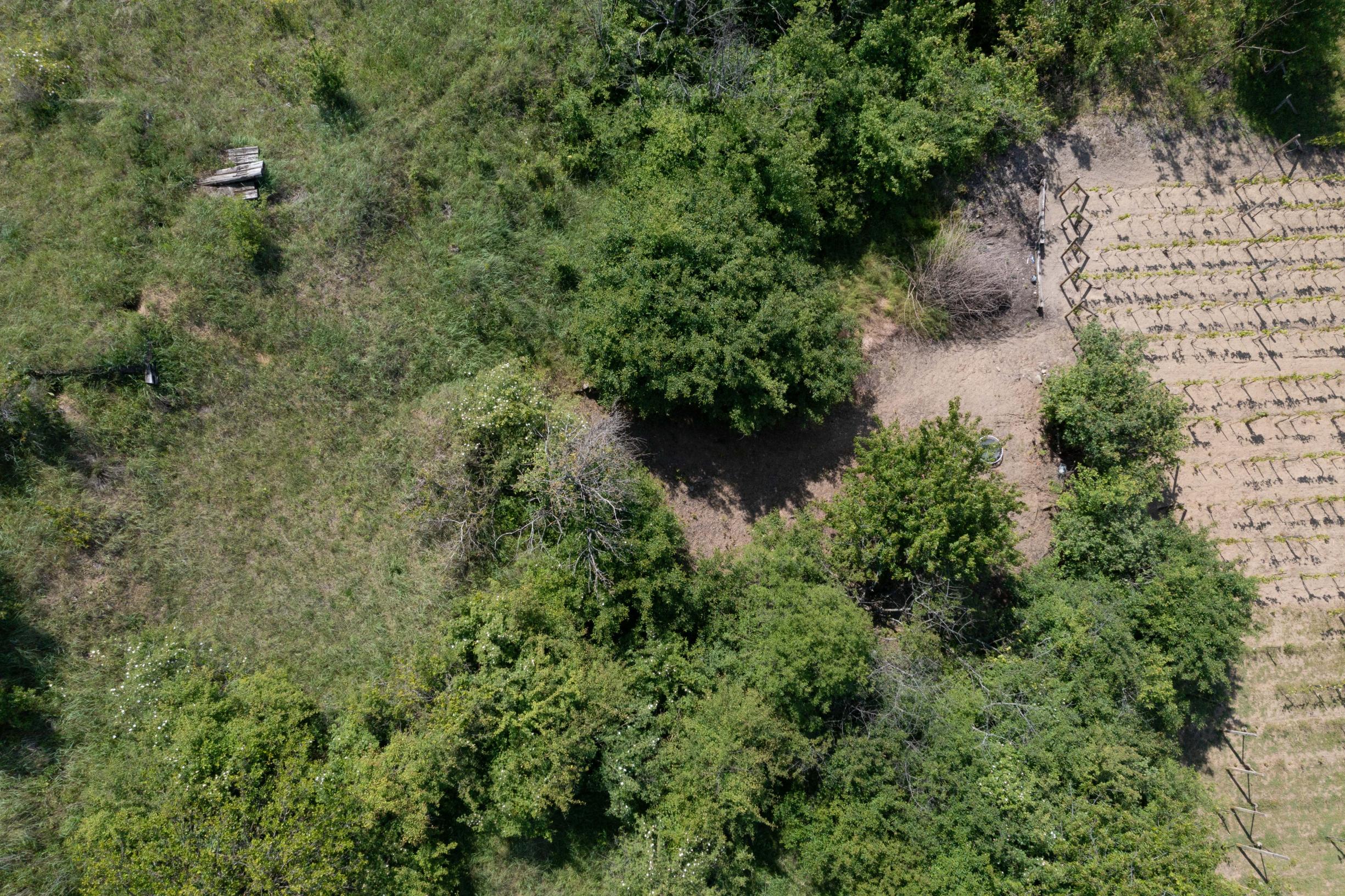 Na predaj vinica s pozemkom o výmere 720 m2