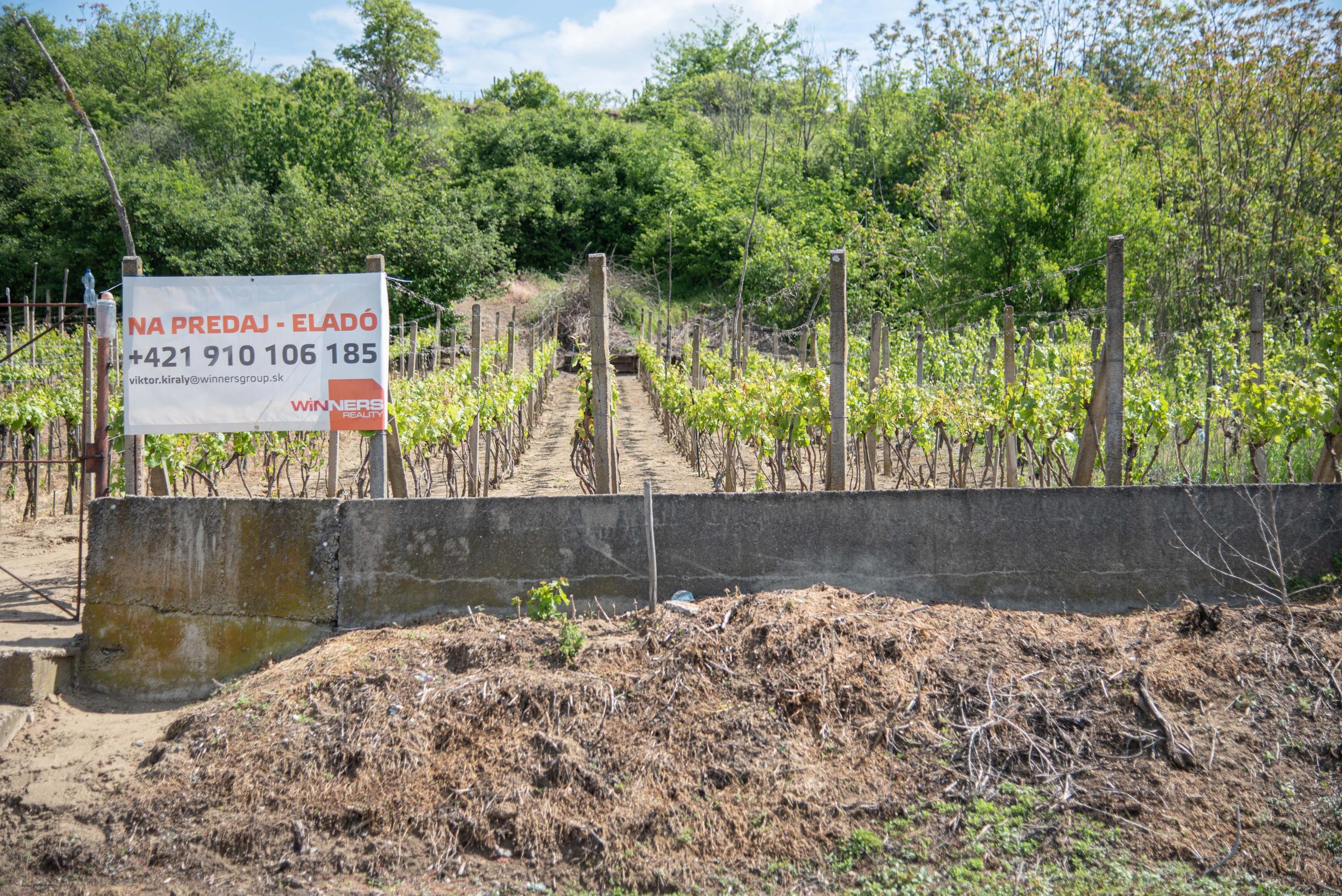 Na predaj vinica s pozemkom o výmere 720 m2