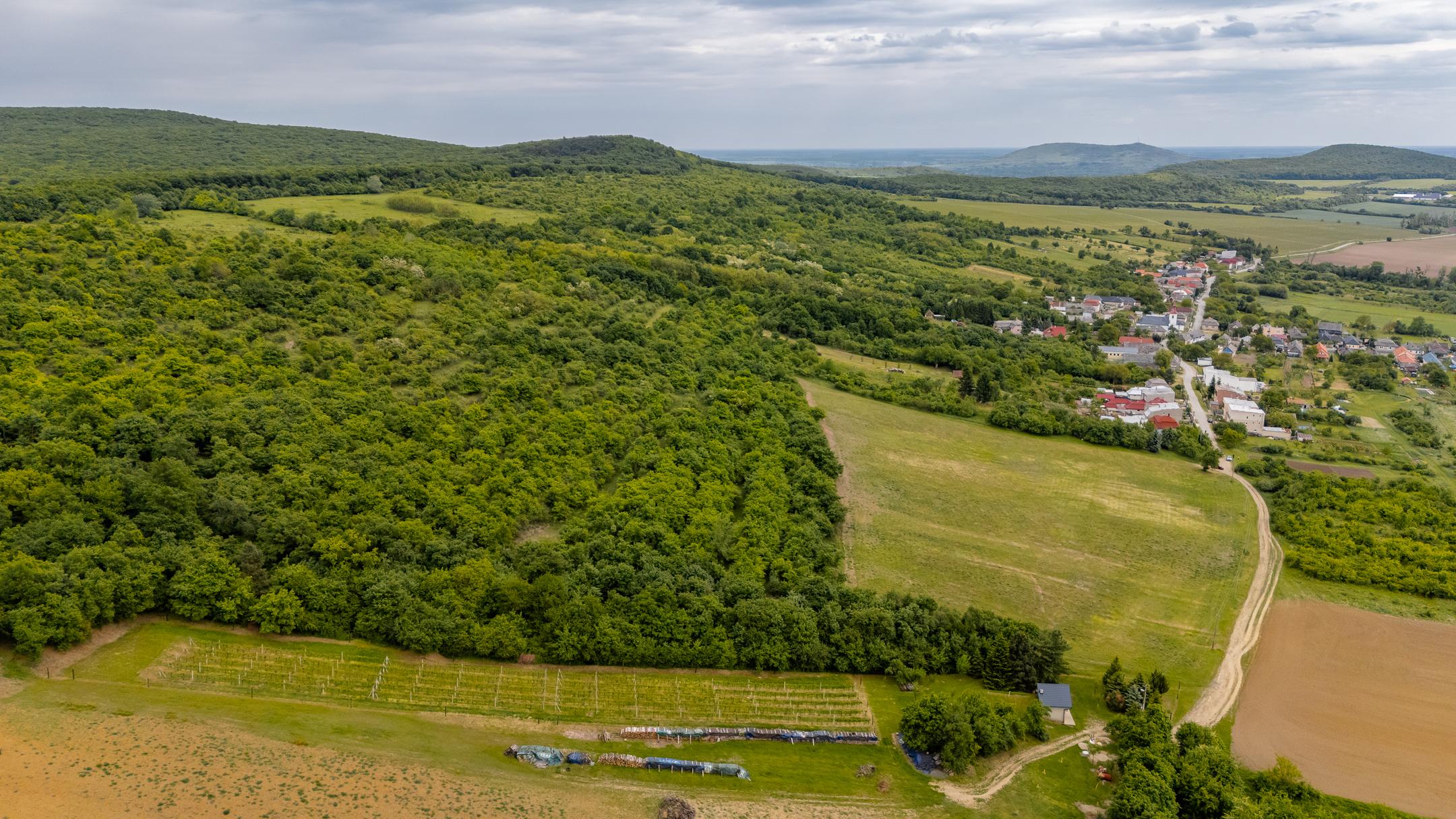 Investičný pozemok o veľkosti 44.007 m2 v obci Černochov vhodný na developerský projekt