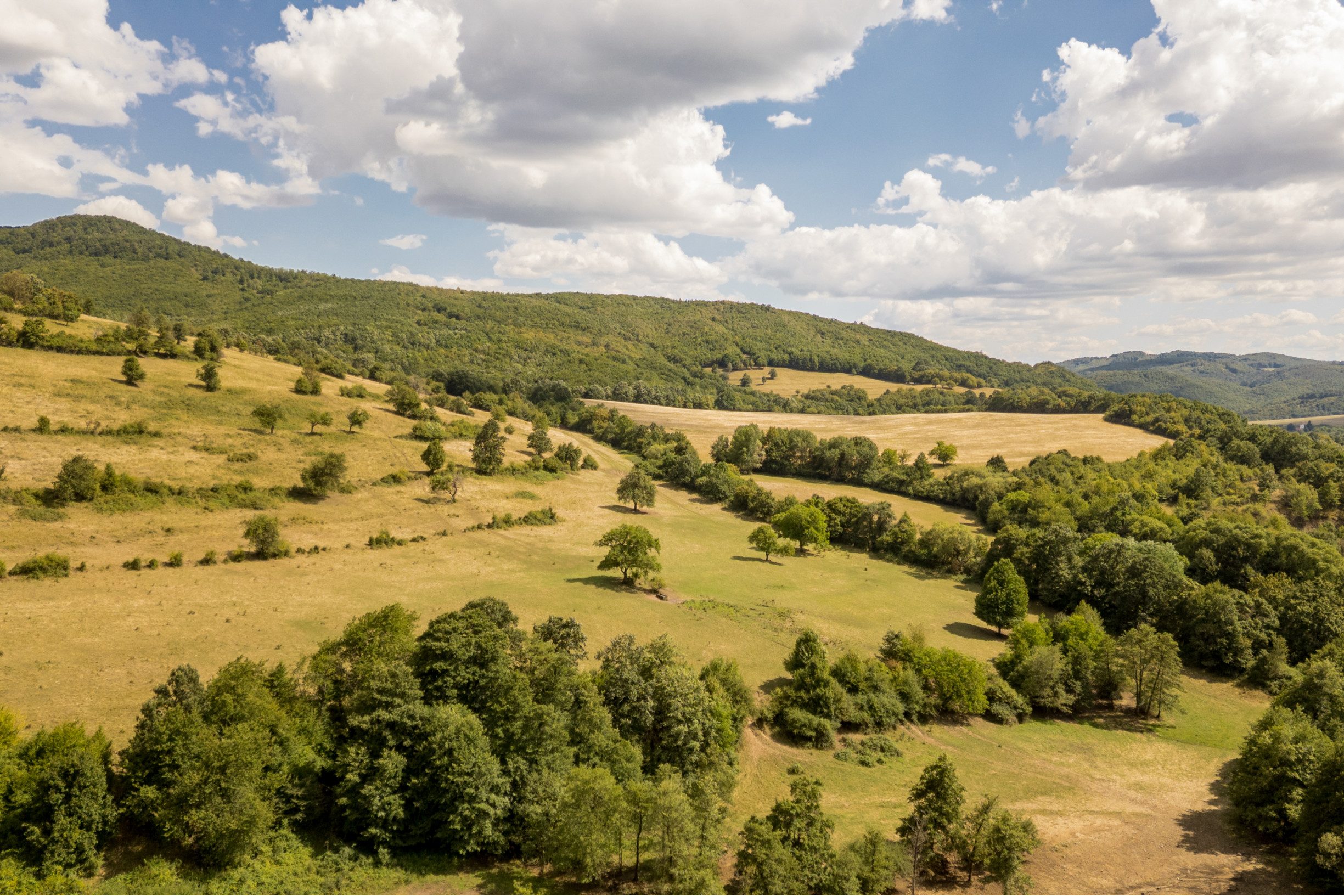 Rozsiahly pozemok vhodný na ranč, kemp alebo hobby farmu – 6,55 ha