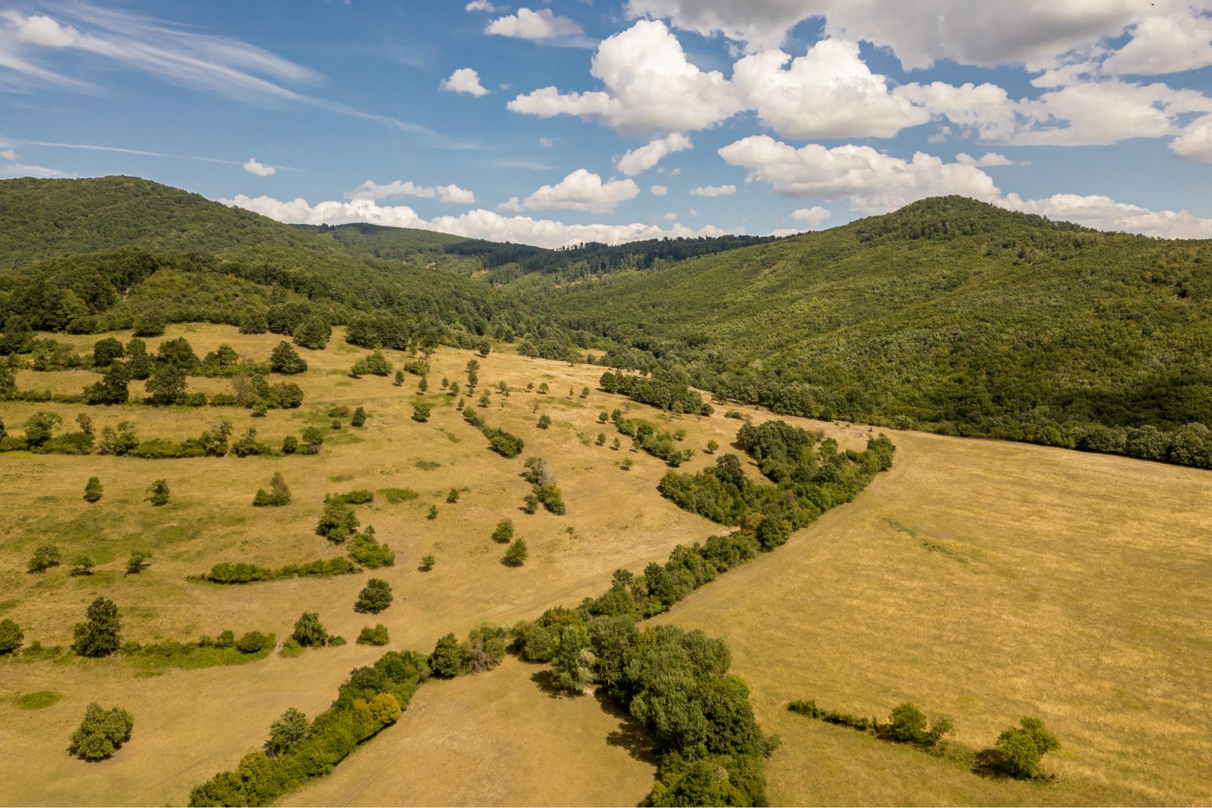 Rozsiahly pozemok vhodný na ranč, kemp alebo hobby farmu – 6,55 ha