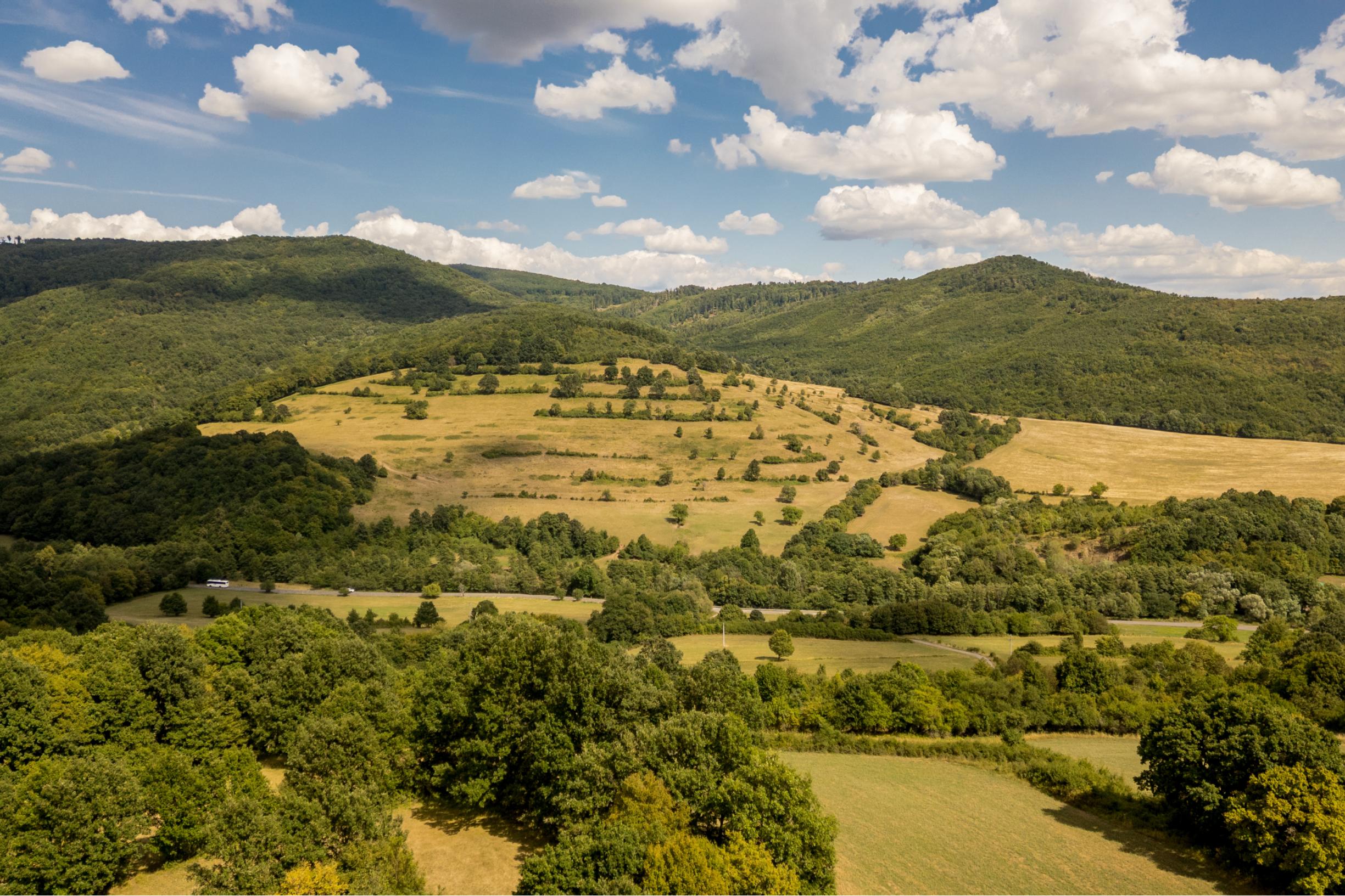 Rozsiahly pozemok vhodný na ranč, kemp alebo hobby farmu – 6,55 ha