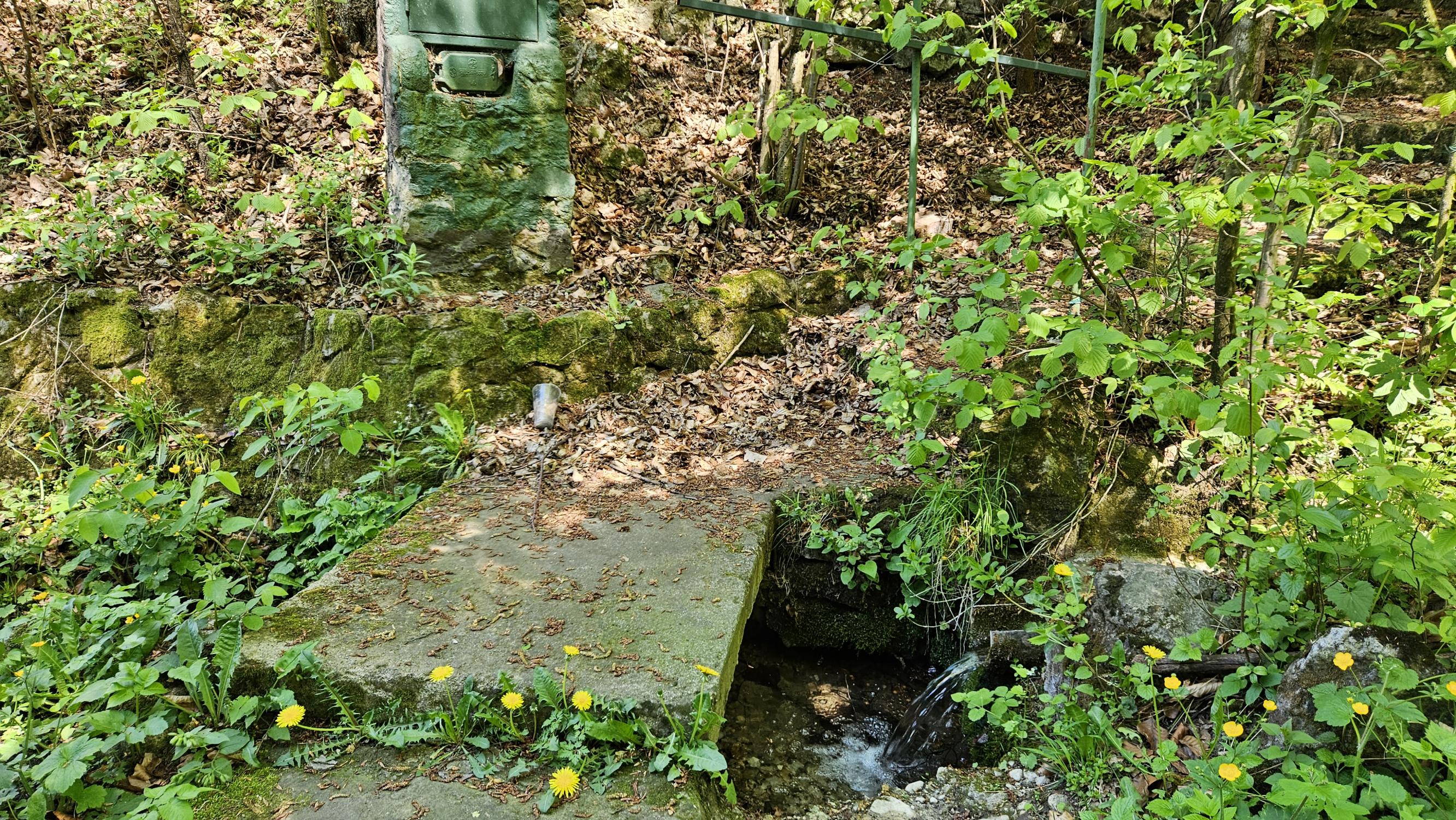 Exkluzívne  na predaj chatka na úpätí lesa v chatárskej oblasti Letkov, časť Starý Trebejov