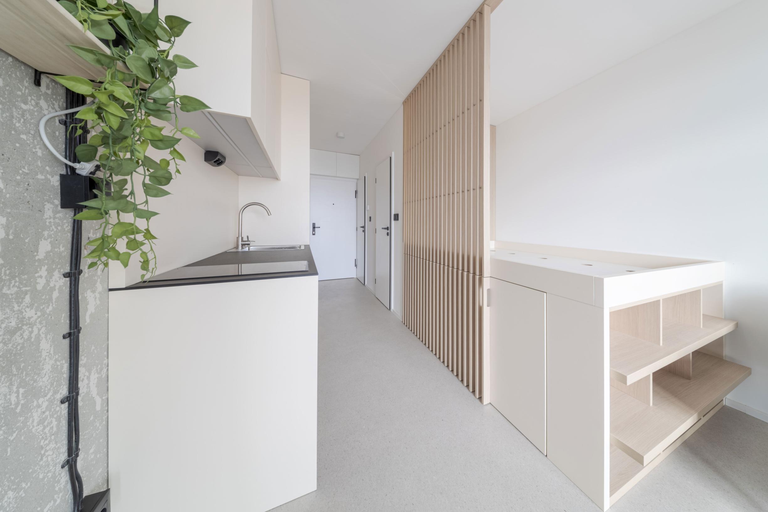 Garsónka, prenájom, loggia, v blízkosti Lekárskej fakulty, Kysucká, Košice - Západ