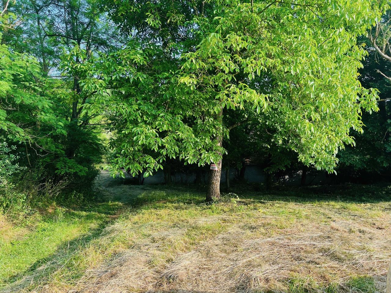 Na predaj veľký pozemok s rodinným domom, 583.292 m2, obec Nemčiňany, okres Zlaté Moravce