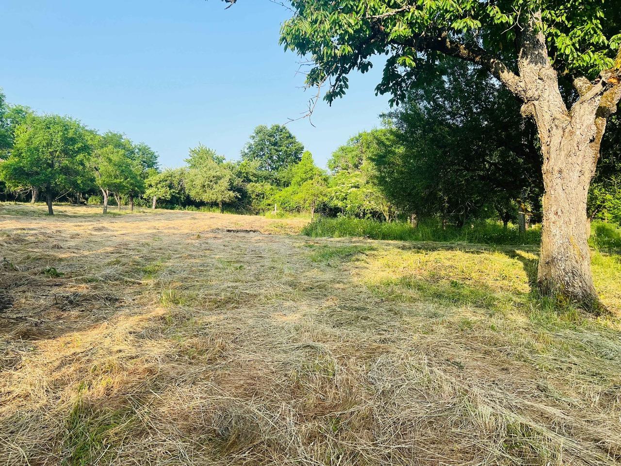Na predaj veľký pozemok s rodinným domom, 583.292 m2, obec Nemčiňany, okres Zlaté Moravce