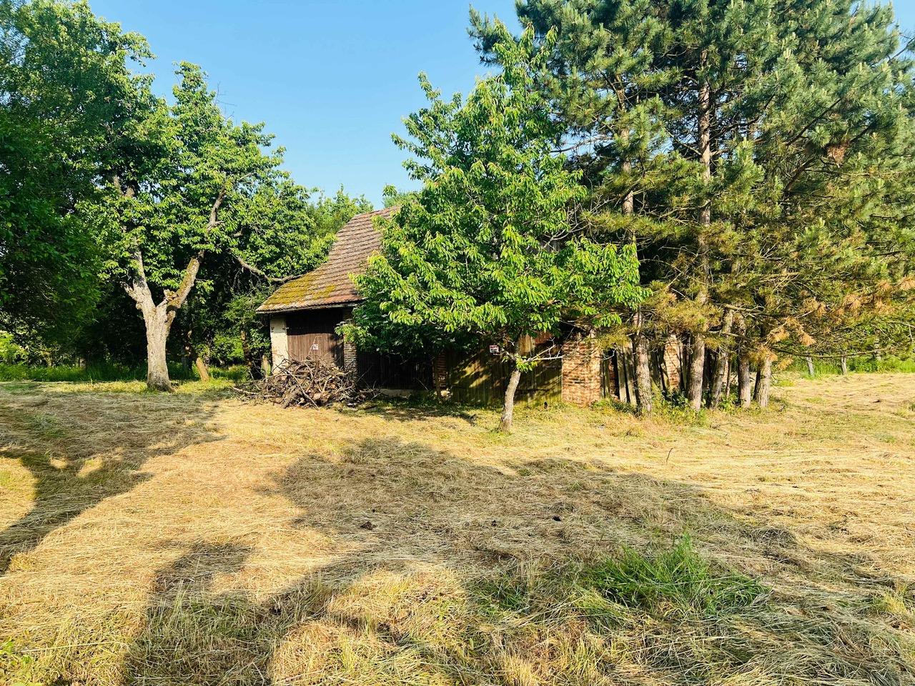 Na predaj veľký pozemok s rodinným domom, 583.292 m2, obec Nemčiňany, okres Zlaté Moravce