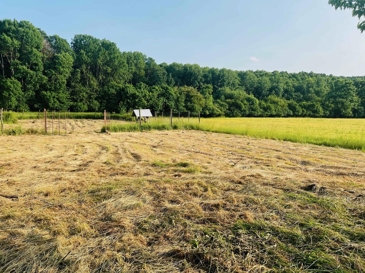Na predaj veľký pozemok s rodinným domom, 583.292 m2, obec Nemčiňany, okres Zlaté Moravce
