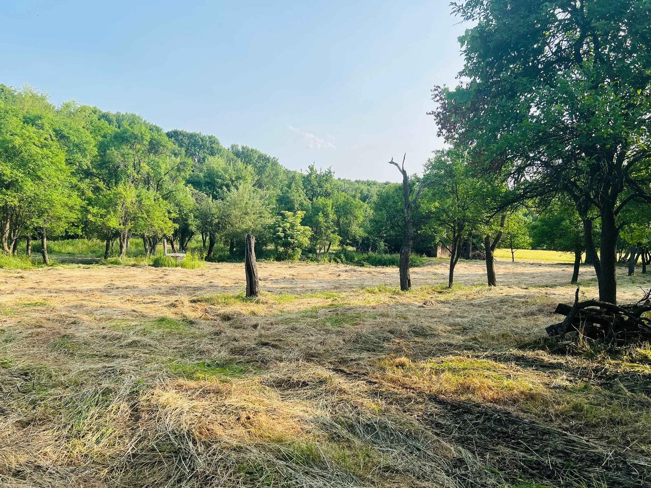 Na predaj veľký pozemok s rodinným domom, 583.292 m2, obec Nemčiňany, okres Zlaté Moravce