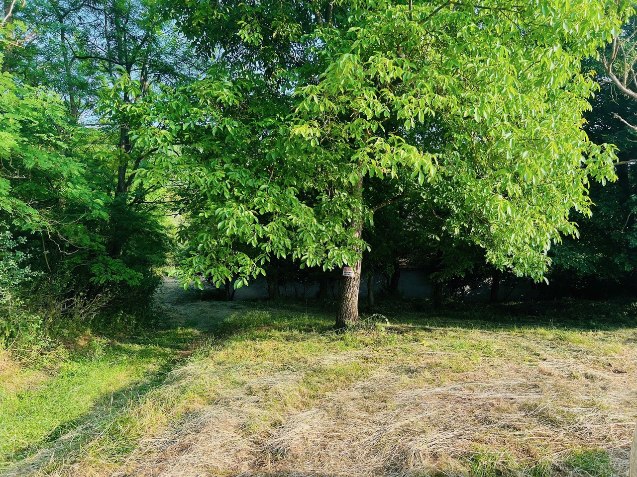 Na predaj veľký pozemok s rodinným domom, 583.292 m2, obec Nemčiňany, okres Zlaté Moravce