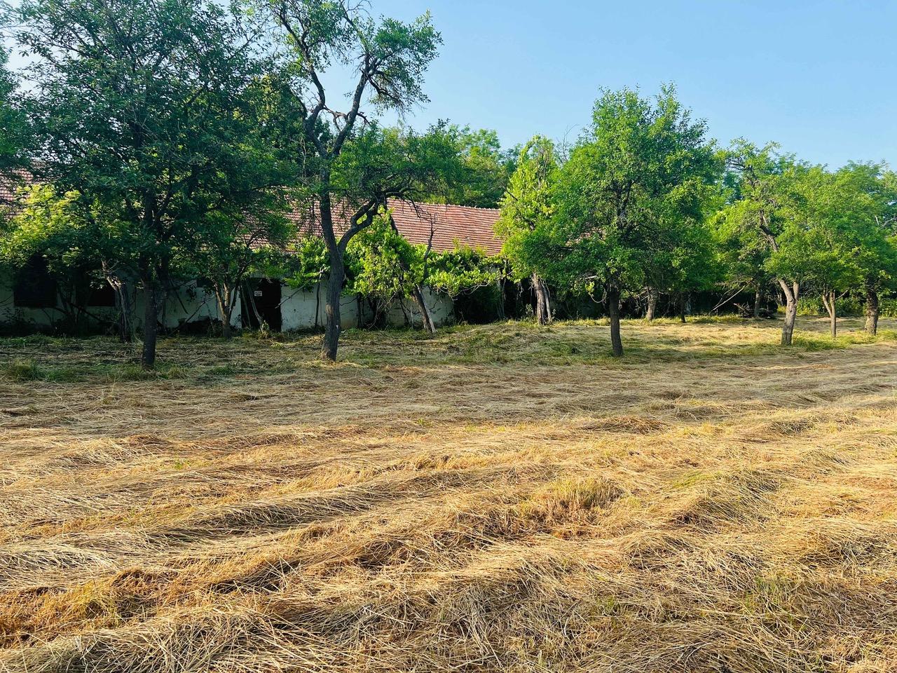 Na predaj veľký pozemok s rodinným domom, 583.292 m2, obec Nemčiňany, okres Zlaté Moravce