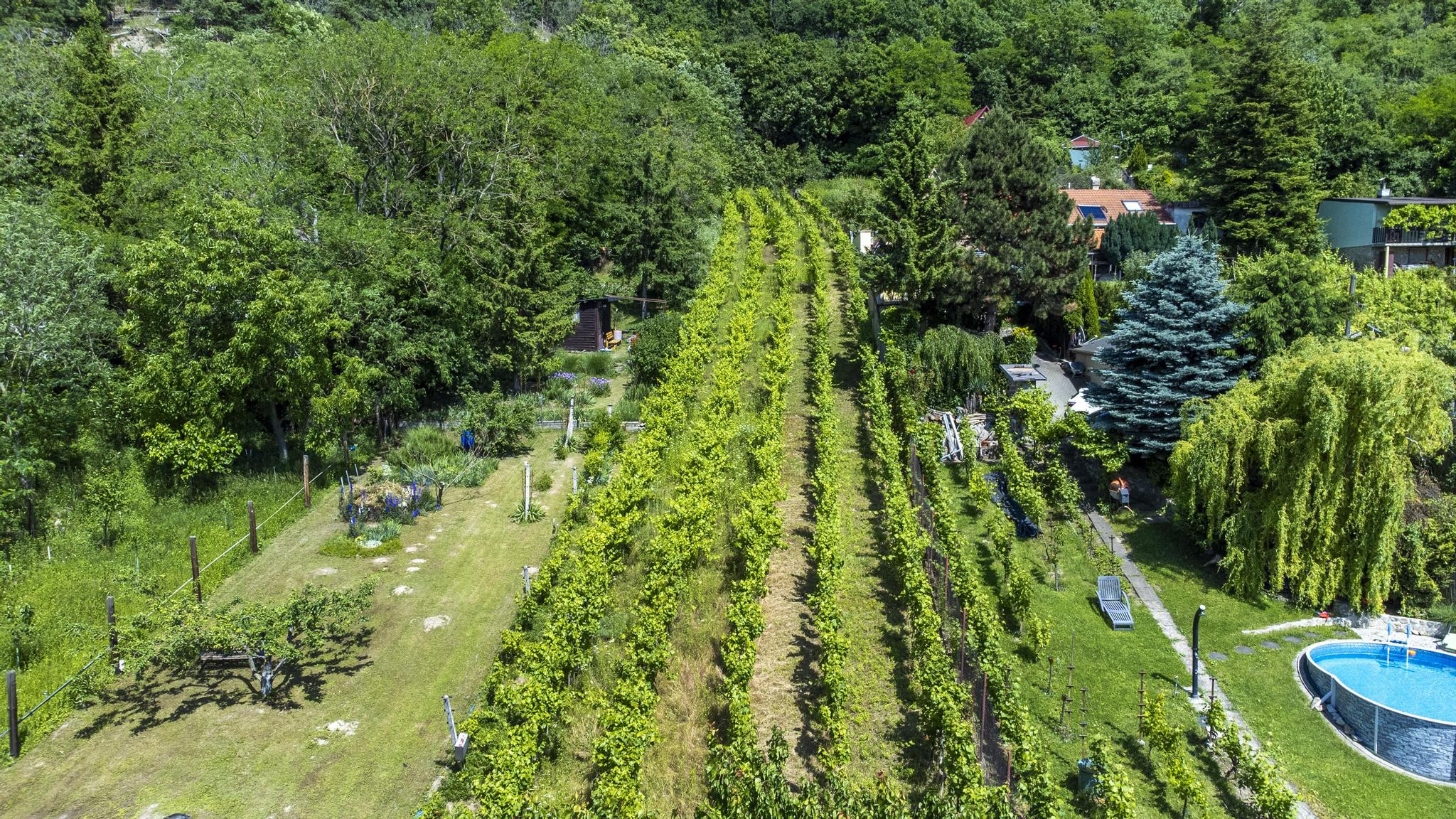 Na predaj pozemok s projektom a stavebným povolením DNV, južný svah s výhľadom na Rakúsko