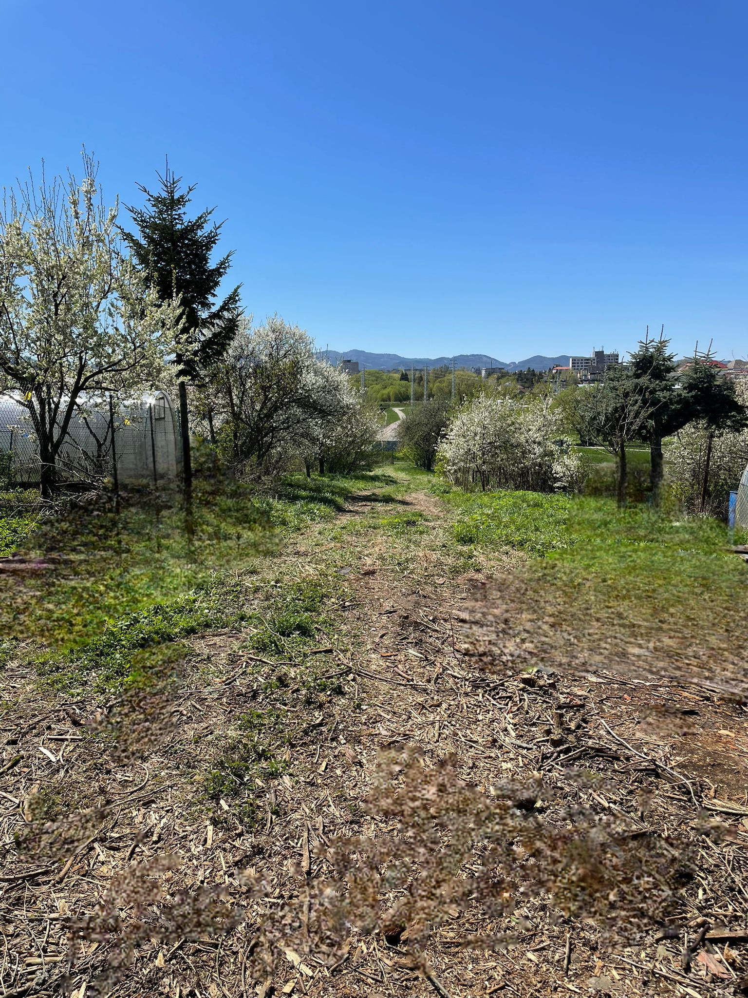 Exkluzívne na predaj  starší neobytný rodinný dom vhodný na renováciu, prípadne výstavu nového rodinného domu, obec Stráže - okres Poprad