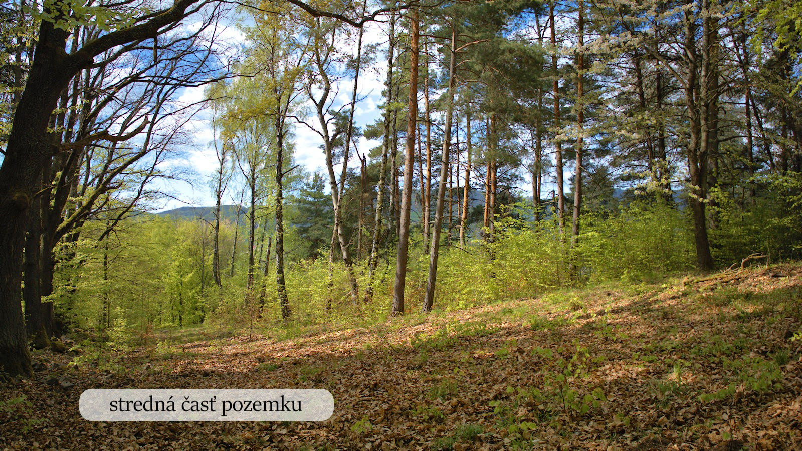 Zaježová – pozemok s výhľadom