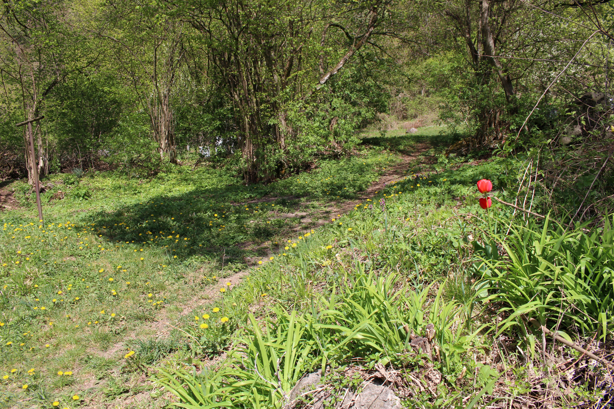 Predaj pozemok  409 m2, Podkonice, okr. Banská Bystrica