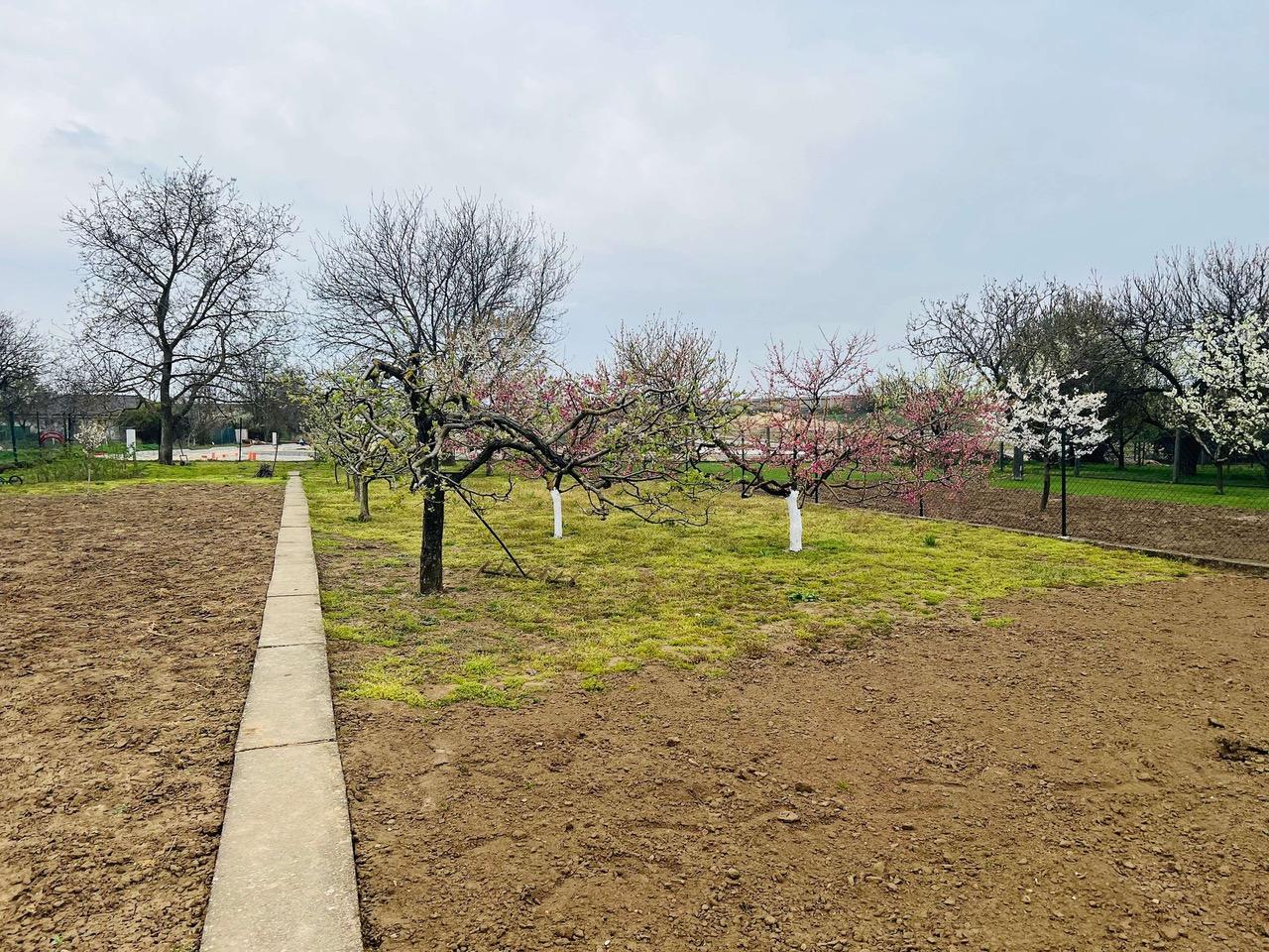 Na  predaj stavebný pozemok 800 m2, Križovany nad Dudváhom, okres Trnava