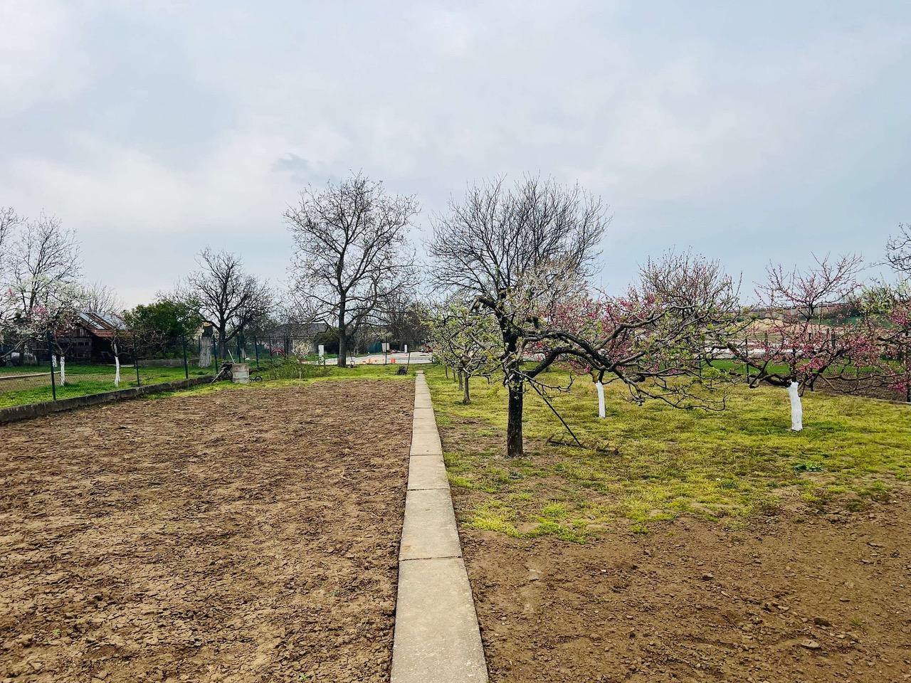 Na  predaj stavebný pozemok 800 m2, Križovany nad Dudváhom, okres Trnava