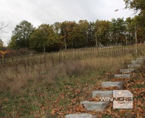 REZERVOVANÉ - Chata a chatka -160 m2,polosamota, Krupina – Stará hora, pozemky 5115 m2, okr. Krupina