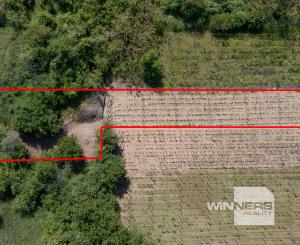 Na predaj vinica s pozemkom o výmere 720 m2