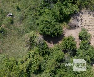 Na predaj vinica s pozemkom o výmere 720 m2