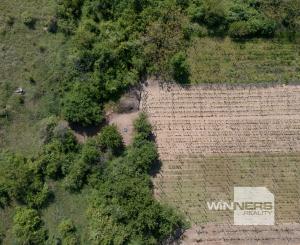 Na predaj vinica s pozemkom o výmere 720 m2