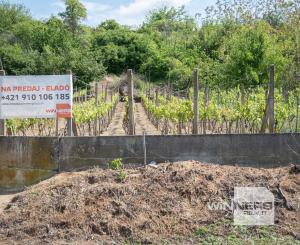 Na predaj vinica s pozemkom o výmere 720 m2