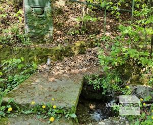 Exkluzívne  na predaj chatka na úpätí lesa v chatárskej oblasti Letkov, časť Starý Trebejov