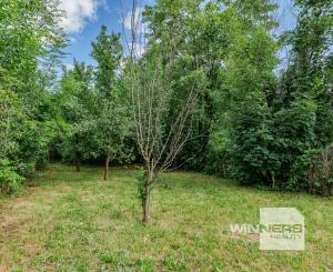 Rodinný dom, predaj, po rekonštrukcii, v blízkosti kaštieľa, Betliar