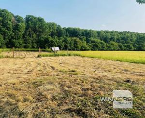 Na predaj veľký pozemok s rodinným domom, 583.292 m2, obec Nemčiňany, okres Zlaté Moravce