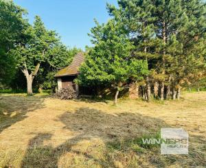 Na predaj veľký pozemok s rodinným domom, 583.292 m2, obec Nemčiňany, okres Zlaté Moravce