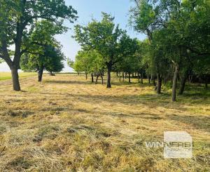 Na predaj veľký pozemok s rodinným domom, 583.292 m2, obec Nemčiňany, okres Zlaté Moravce