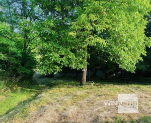 Na predaj veľký pozemok s rodinným domom, 583.292 m2, obec Nemčiňany, okres Zlaté Moravce