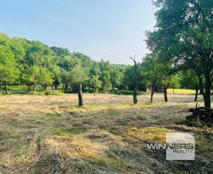 Na predaj veľký pozemok s rodinným domom, 583.292 m2, obec Nemčiňany, okres Zlaté Moravce