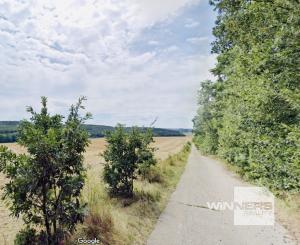 Na predaj veľký pozemok s rodinným domom, 583.292 m2, obec Nemčiňany, okres Zlaté Moravce