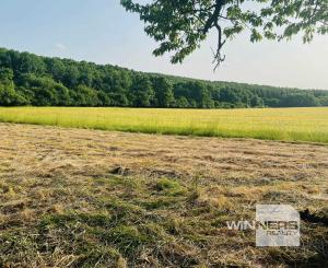 Na predaj veľký pozemok s rodinným domom, 583.292 m2, obec Nemčiňany, okres Zlaté Moravce