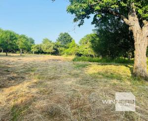 Na predaj veľký pozemok s rodinným domom, 583.292 m2, obec Nemčiňany, okres Zlaté Moravce