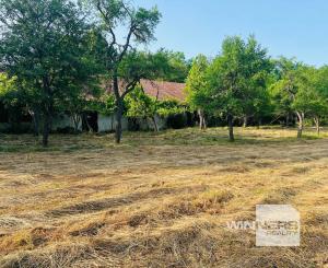 Na predaj veľký pozemok s rodinným domom, 583.292 m2, obec Nemčiňany, okres Zlaté Moravce