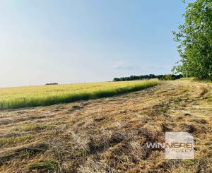Na predaj veľký pozemok s rodinným domom, 583.292 m2, obec Nemčiňany, okres Zlaté Moravce
