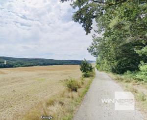 Na predaj veľký pozemok s rodinným domom, 583.292 m2, obec Nemčiňany, okres Zlaté Moravce