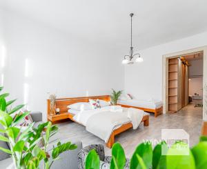 Staromestský 3-izbový byt s vysokými stropmi a parkovaním – centrum Košíc