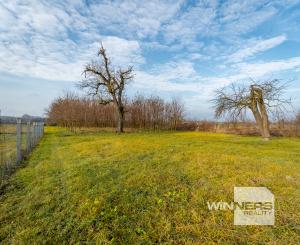 NA PREDAJ: Vidiecky rodinný dom s veľkorysým 50-árovým pozemkom – obec Čierna (okr. Trebišov)