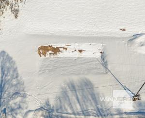 Stavebný pozemok s projektom na 5izbovú chatu a platným stavebným povolením