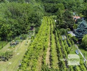 Na predaj pozemok s projektom a stavebným povolením DNV, južný svah s výhľadom na Rakúsko
