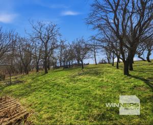 Celoročne obývateľná chalupa na Záhorí vo vidieckom štýle: • 3 izbová rekreačná nehnuteľnosť s veľkým slnečným pozemkom