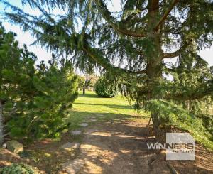 REZERVOVANÉ - PREDAJ, pozemok 350 m², Kľačany, Hlohovec