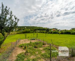 Vinica s murovanou chatkou