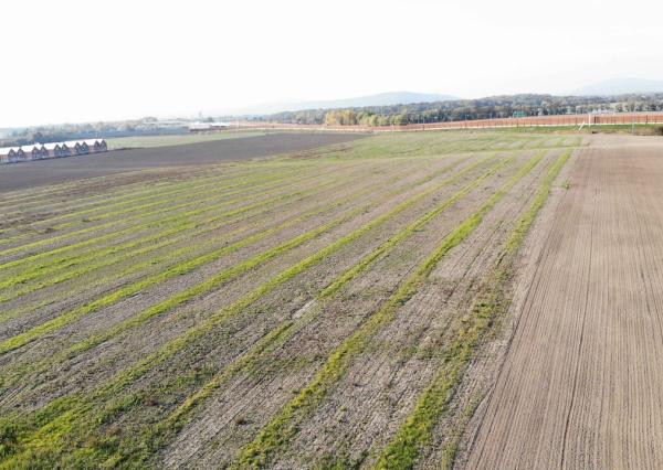 Na predaj stavebný pozemok, 9592 m2, Koreňová ulica, Bratislava - Jarovce Sever