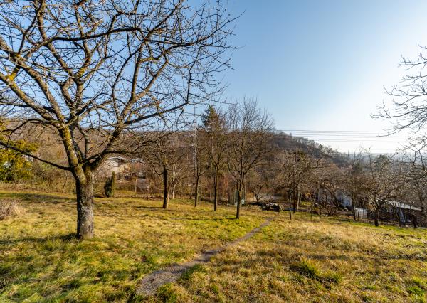 Ponúkame Vám na predaj záhrada vo Vyšnom Opátskom časť Nižná Úvrať